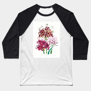 A Trio of Nerines Baseball T-Shirt